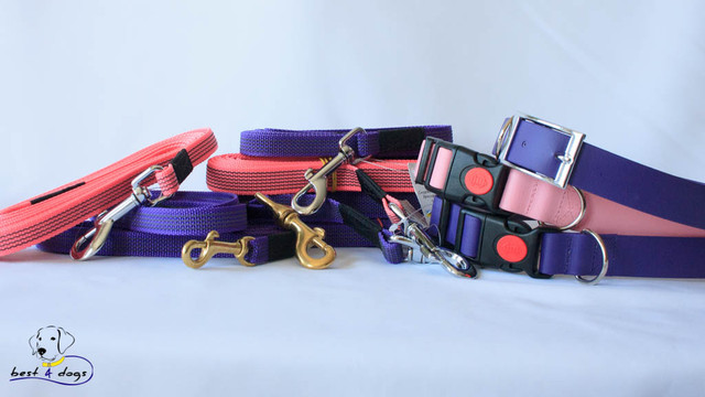 повідки для собак best 4 dogs